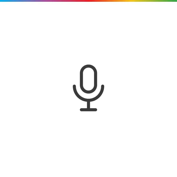PA Wired microphone